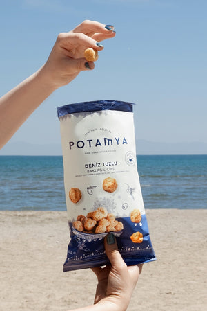 Legume Chips with Sea Salt